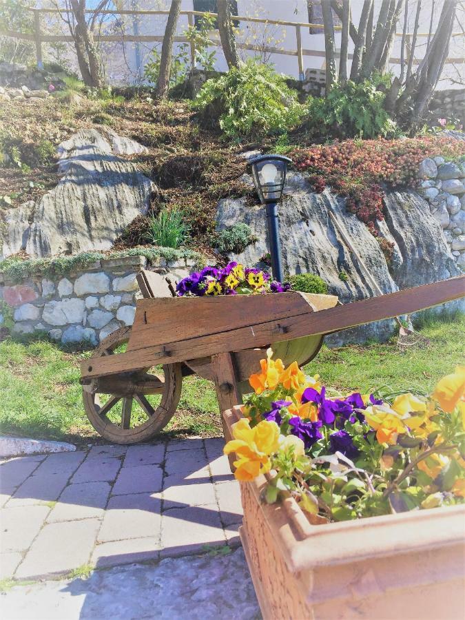 Ferienwohnung La Casa Nel Bosco Malcesine Exterior foto